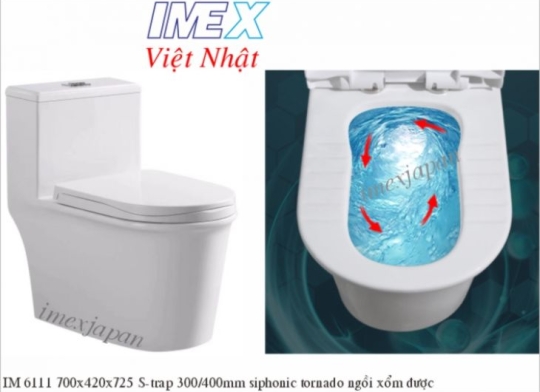 Bồn cầu IM6111
